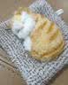 亦趣仿真猫玩偶会叫小猫咪毛绒玩具摆件可爱猫咪公仔女孩儿童生日礼物 会叫橘花猫咪+毛绒垫子 实拍图