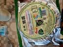 阿一波幼嫩紫菜100g 头水无沙 福建特产干货海带虾皮紫菜蛋花汤海苔食材 实拍图