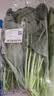 大菠菜300g 实拍图