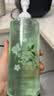 【山茶花香】山茶花洗发水去屑控油蓬松持久留香补水保湿大容量 水润 500ml 1瓶 实拍图