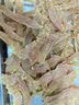 摩飞电器（Morphyrichards）干果机 烘干机食品风干机小型食物 水果蔬菜肉类宠物零食自制牛肉干鸡肉干家用迷你电烤箱 MR6255 轻奢蓝 8L 实拍图