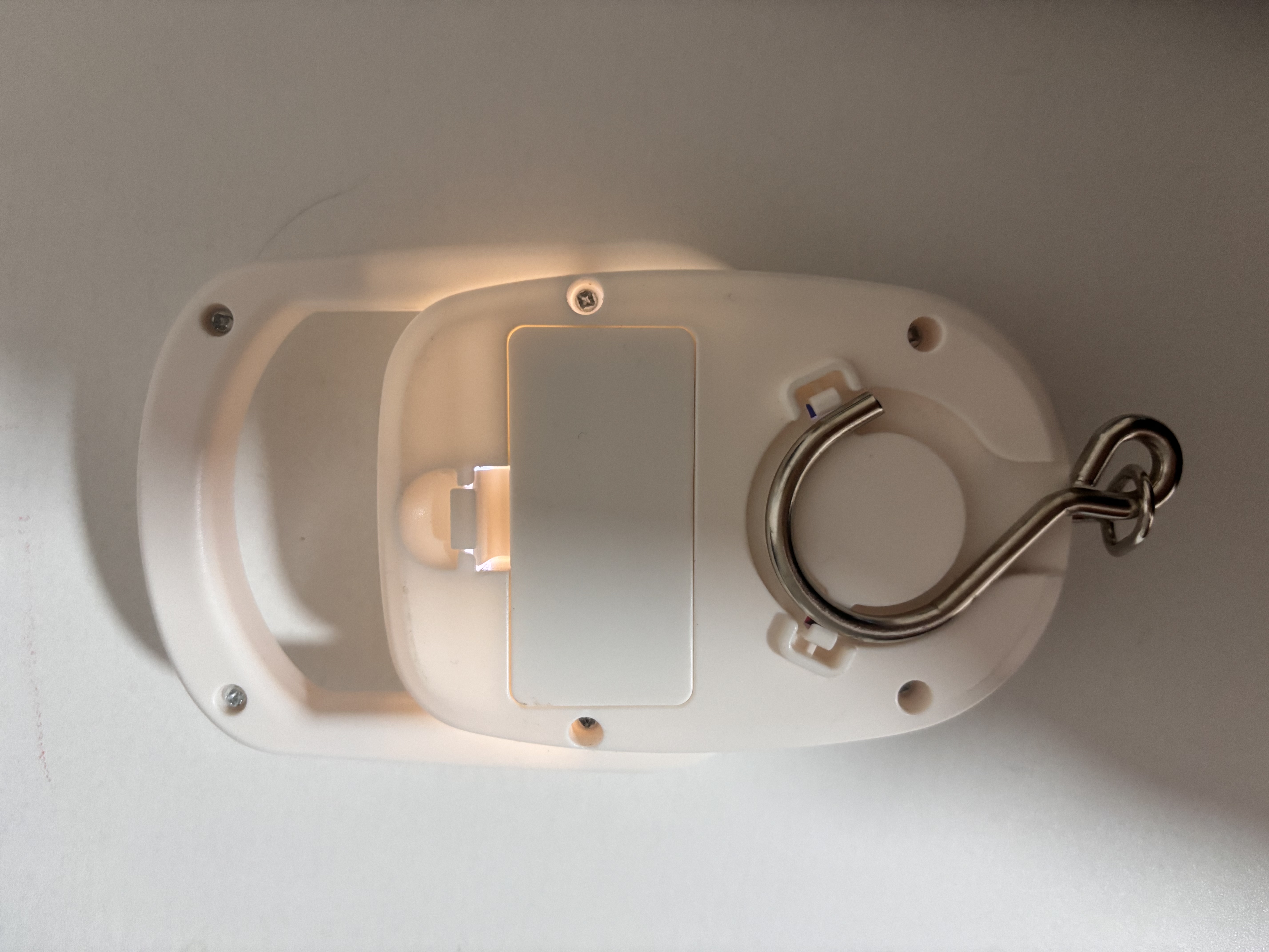 京东京造 手提秤 电子秤厨房便携式高精度称菜做生意快递50kg（配电池）白 实拍图