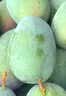 京觅 攀枝花凯特芒果 净重8斤单果400g+新鲜甜芒果生鲜水果 源头直发 实拍图