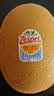 佳沛（zespri）新西兰金奇异果22粒巨大原箱146-175g猕猴桃水果礼盒 实拍图