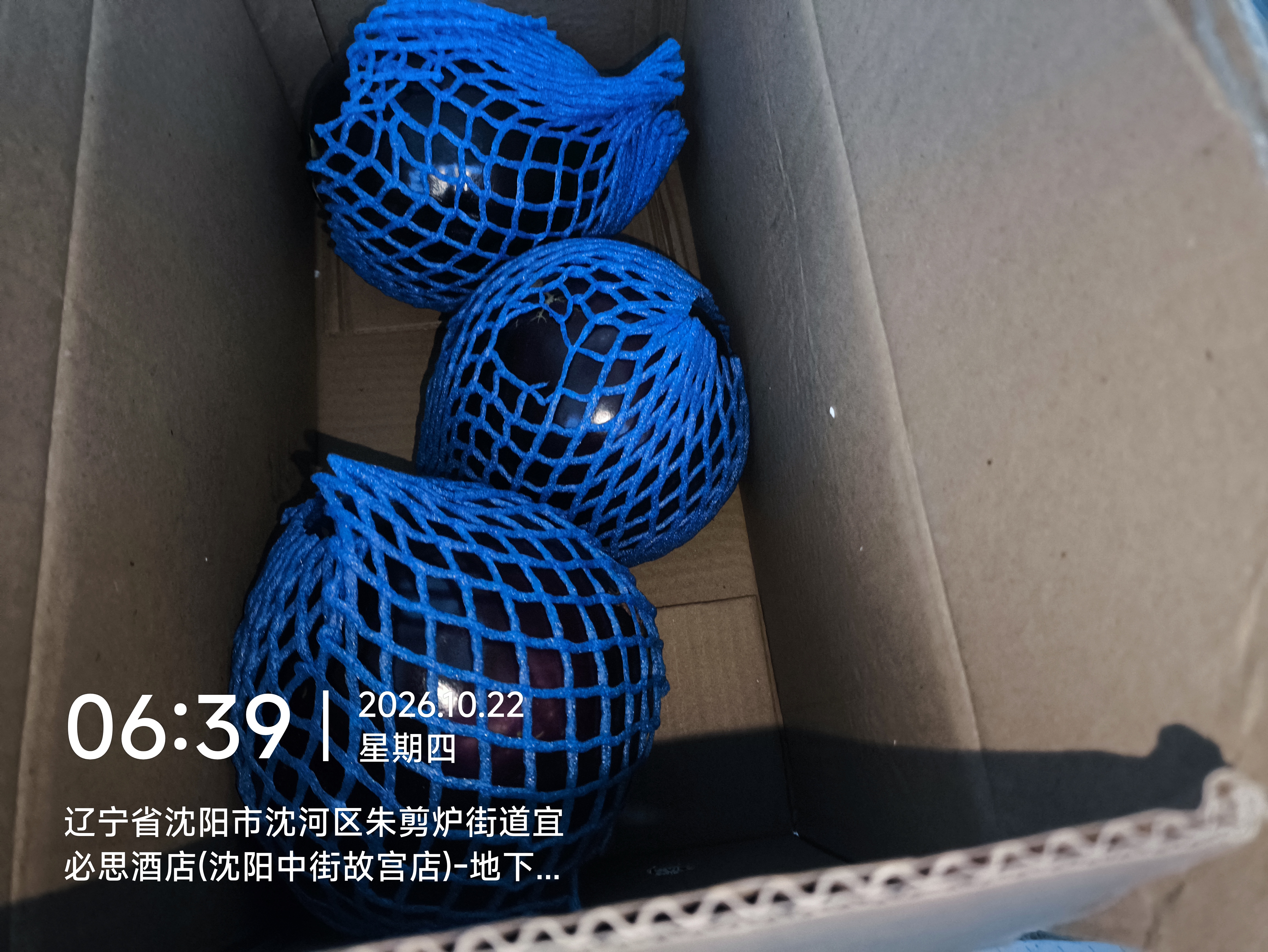 京鲜生 山东紫茄子 圆茄 净重5斤单果250克+新鲜蔬菜源头直发 实拍图