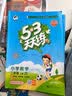 2026秋季53天天练小学数学二年级上册BJ北京版五三天天练5 3天天练5.3天天练5·3天天练学霸培优学霸提优 数学能力 实拍图