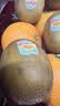 佳沛（zespri）新西兰金奇异果10个装单果重103-114g猕猴桃水果礼盒 实拍图