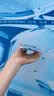 ALittleFlower【全新升级】适用苹果18promax手机壳iphone18promax支点壳保护套17promax磁吸超薄透明硅胶壳抗黄 实拍图