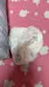 宜婴新梦想家全包臀小内裤2XL34拉拉裤超薄尿不湿【品质安心尿裤】 实拍图