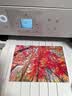爱普生（EPSON）【6代新品】L4356墨仓式彩色无线AI学习打印机一体机家用办公  L4266升级版[自动双面 液晶屏 白] 实拍图