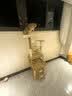 唐米吉吉加粗大型猫爬架猫窝猫树一体太空舱猫架子小户型不占地剑麻猫玩具 【146cm性价比款】破价冲量 实拍图