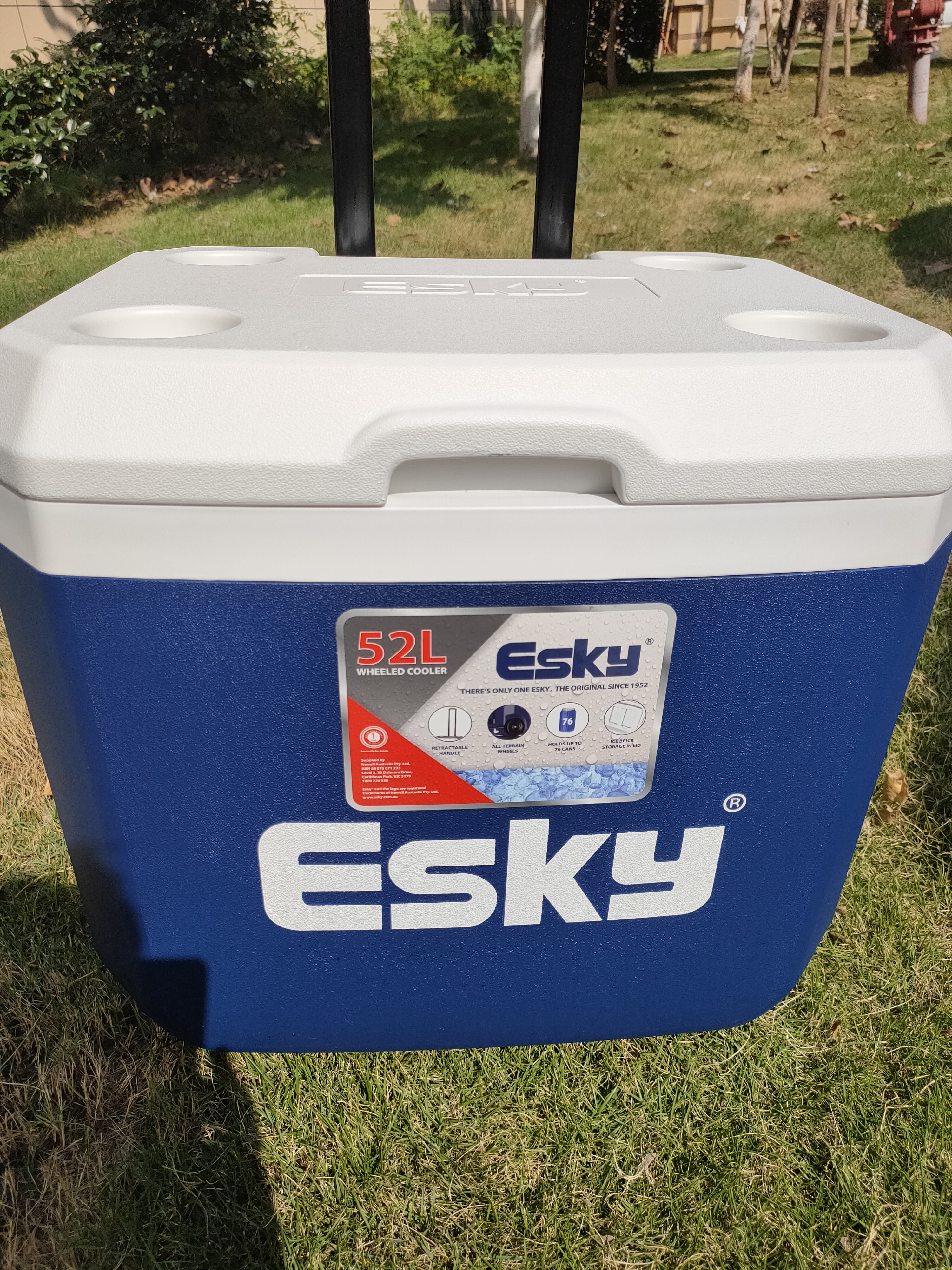 爱斯基（ESKY）车载保温箱户外冷藏大容量商用摆摊食品保热露营野餐外卖箱52L 实拍图