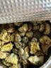艺福堂胎菊花茶50g 新花无硫熏杭白菊 特养生凉茶级可搭配玫瑰花枸杞 实拍图