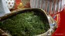史丹利椰糠砖650g 椰土砖椰砖营养土脱盐花土耶砖种菜通用型 实拍图