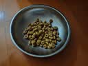 皇家猫粮 暹罗成猫粮 SM38 通用粮 12月以上 2KG 实拍图