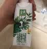 伊利金典3.8g乳蛋白有机脱脂纯牛奶250ml*10盒 0脂肪 礼盒装 实拍图