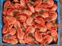 仁豪水产海藻黑头虾北极甜虾 90/130规格 135-195只/盒 净重3斤 家庭聚餐 实拍图