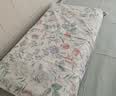 京东京造100%纯棉四件套全棉床单被套抑菌套件床上用品220*240cm1.8/2.0米床 柔绿芳华 实拍图