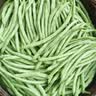 农家四季豆新鲜现摘云南长扁豆角农家应当季蔬菜芸豆现摘菜豆 新鲜四季豆2斤带箱 实拍图