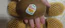 佳沛（zespri）新西兰金奇异果12粒特大果124-146g猕猴桃水果礼盒 实拍图