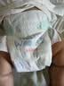 好奇（Huggies）好奇屁屁面膜纸尿裤试用装中号M4婴儿尿不湿超薄透气 实拍图