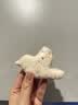 帕帕罗蒂蒸馒头模具 面食糕点卡通糖翻饼干模具 小动物烘焙模具（长颈鹿） 实拍图