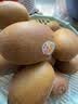 佳沛（zespri）新西兰金奇异果22粒巨大原箱146-175g猕猴桃水果礼盒 实拍图