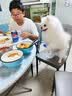德玛先生狗狗零食火腿肠鸡肉香肠宠物零食肠中小型犬训练奖励水晶肉肠100g 实拍图