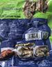 江船长冷冻鲍鱼 净重160g(10-15粒)袋装 火锅食材 海鲜生鲜 实拍图