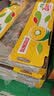 佳沛（zespri）新西兰金奇异果22粒巨大原箱146-175g猕猴桃水果礼盒 实拍图