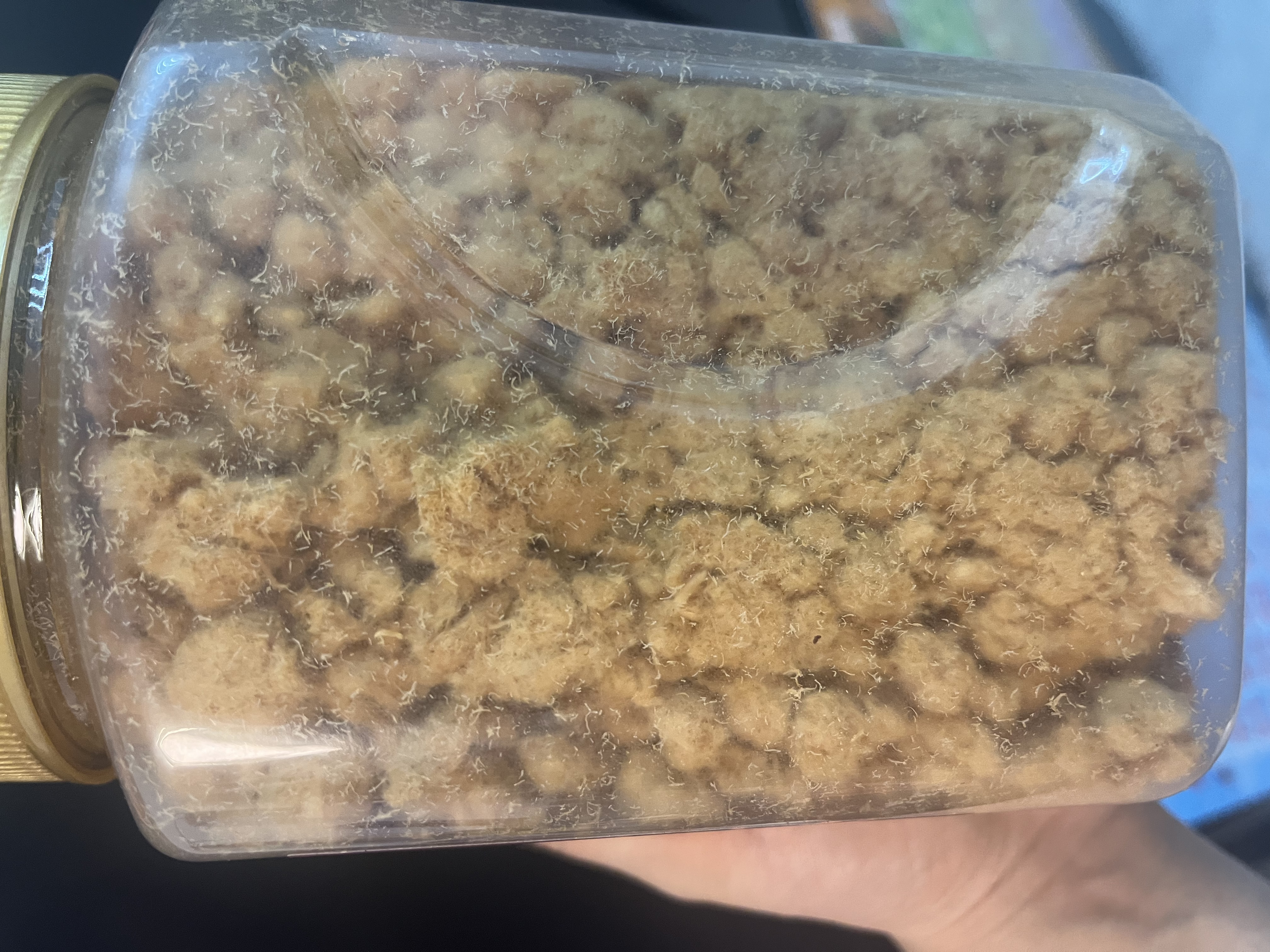 良品铺子原味猪肉松300g 无添加剂寿司烘焙肉松 儿童孕妇老人拌饭零食 实拍图