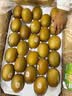 佳沛（zespri）金奇异果25-27粒原箱特大果124-146g猕猴桃水果礼盒 实拍图