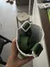 膳魔师（THERMOS）小鹦鹉BEBE儿童大容量吸管杯小学生6-12岁上学专用tritan水杯绿 实拍图