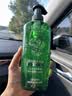 欧莱雅茶树洗发水 植萃去屑清爽控油去油男士女士洗发露500ml 实拍图