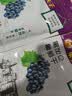 果夫子黑加仑葡萄干250克休闲零食新疆特产吐鲁番原味免洗 实拍图