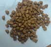 皇家（ROYAL CANIN）肠道处方粮GI32消化支持高适口性成猫肠胃全价处方粮3.5KG 实拍图
