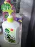 滴露（Dettol）泡沫洗手液草莓熊花香型250ml 99.99%抑菌杀菌消毒泡泡儿童 实拍图