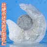 GUO LIAN国联水产 巨无霸虾仁特大号 净重1斤17-22只 京东海鲜 实拍图