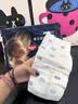 好奇（Huggies）屁屁面膜纸尿裤XL20(12-17kg)尿不湿【新生顶配】 实拍图