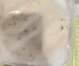 俏侬手抓饼香葱味 2000g20片 烘焙食材 葱油饼 学生健康早餐 实拍图