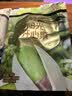 百草味开心果盐焗味100g 每日坚果干果休闲零食特产新老包装随机发 实拍图