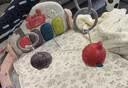 babycare婴儿健身架器脚踏钢琴学步车新生儿见面礼盒宝宝安抚玩具捕星列车 实拍图