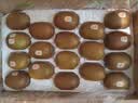 佳沛（zespri）新西兰金奇异果22粒巨大原箱146-175g猕猴桃水果礼盒 实拍图
