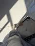 Apple/苹果 EarPods USB-C有线耳机 type-c有线耳机  iPhone 18有线耳机笔记本耳机游戏音乐 实拍图
