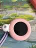 听力熊【重磅新品】Mooni M2儿童随身AI电话手表智能陪伴机器人故事机ai玩具3-12岁礼物英语口语陪练粉色 实拍图