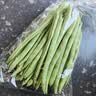 四季豆300g(架豆） 实拍图