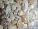 1号会员店（One's Member）海鲜什锦908g  轻食火锅食材海鲜贻贝肉虾仁鱿鱼扇贝柱 实拍图