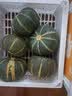 鸢语 山东惠和一号贝贝小南瓜净重2.5kg 板栗味 健康轻食 粉糯香甜 实拍图