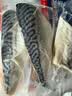 蓝雪挪威青花鱼柳250g冷冻鲭鱼烧烤食材盐烤日式料理去骨生鲜海鲜水产 实拍图