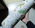 babycare婴儿安抚枕头宝宝多功能抱枕透气枕头6月-6岁-比奇角恐龙39*12cm 实拍图